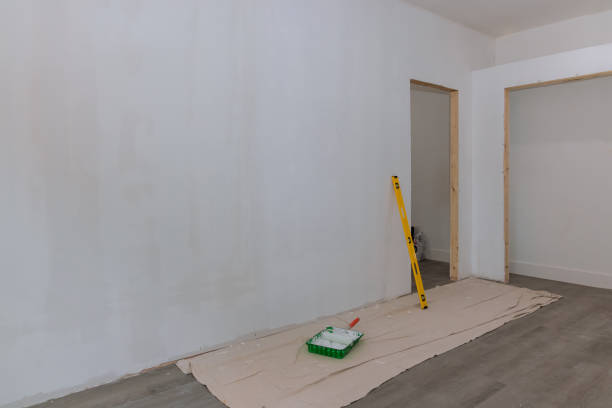 Best Drywall Removal and Disposal  in Osceola, IA