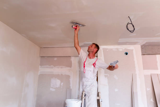 Trusted Osceola, IA Dry wall and painting Experts