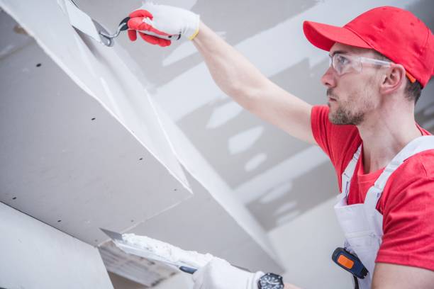 Best Ceiling Drywall Installation  in Osceola, IA